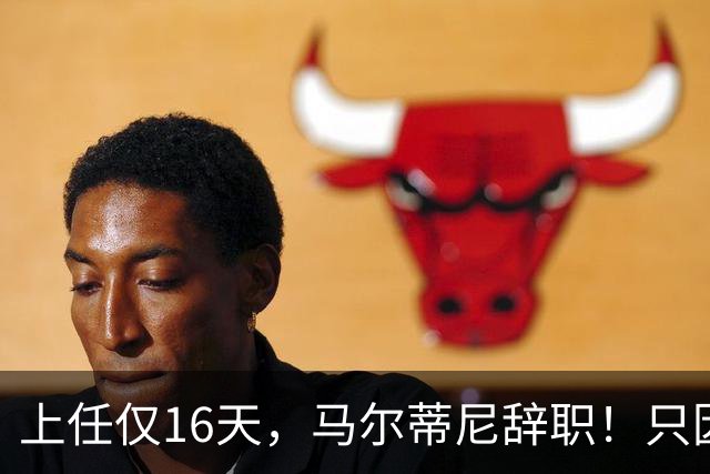 上任仅16天，马尔蒂尼辞职！只因心仪主帅皮尔洛被意大利足协否决